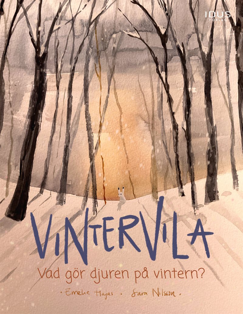 Vintervila : vad gör djuren på vintern?