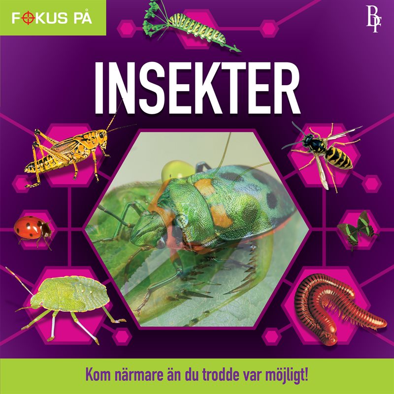 Fokus på : Insekter