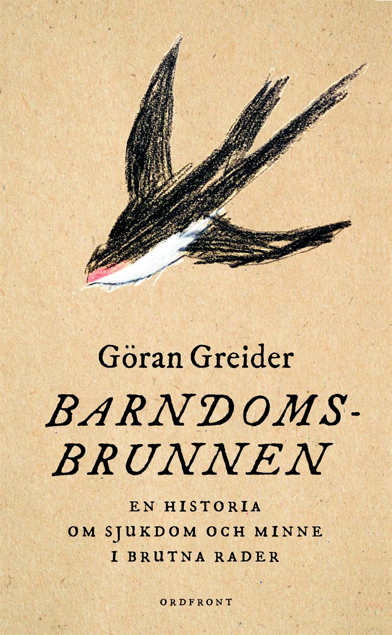 Barndomsbrunnen : en historia om sjukdom och minne i brutna rader