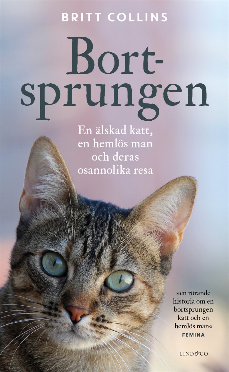 Bortsprungen : en älskad katt, en hemlös man och deras osannolika resa