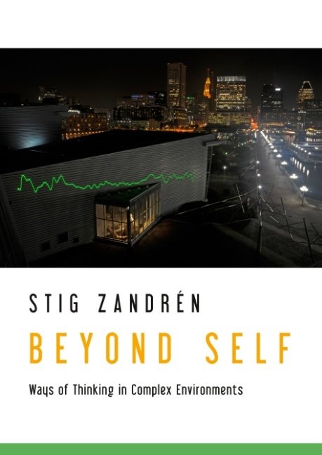 Beyond Self : Ways of Thinking in Complex Environments