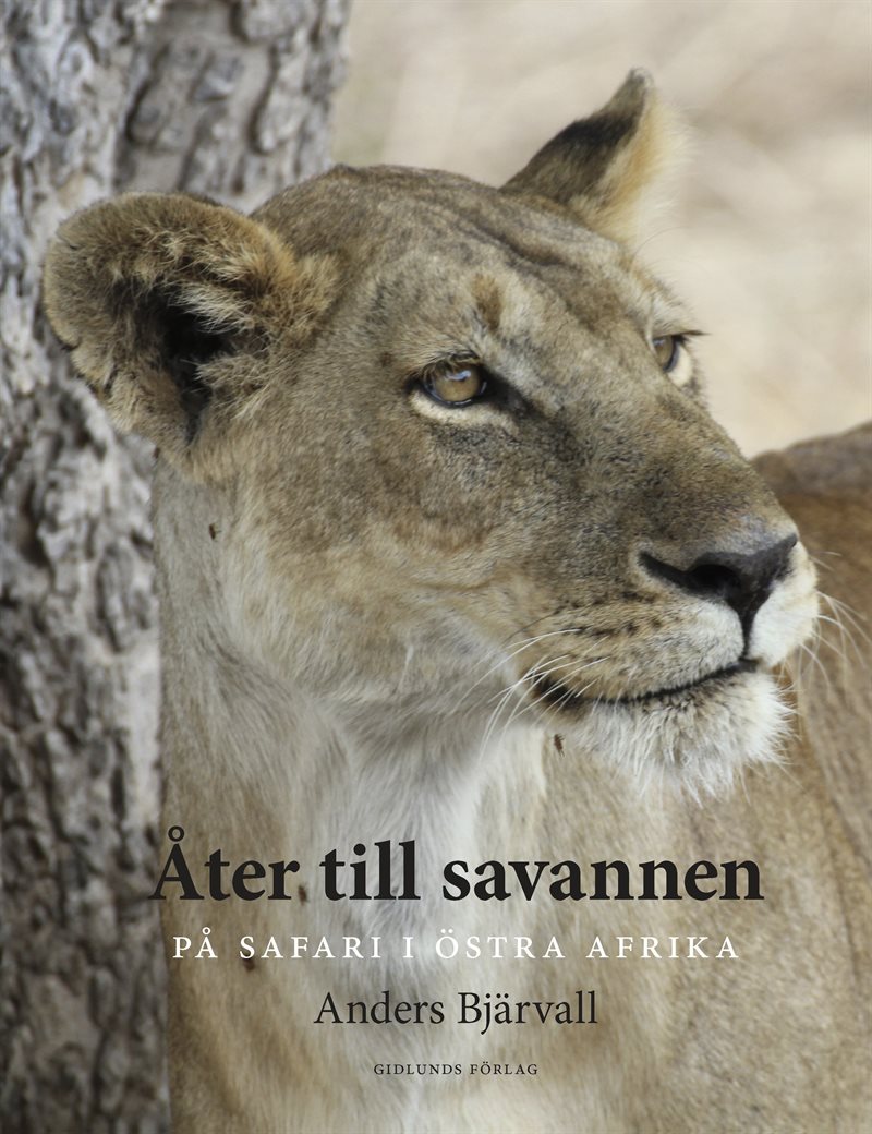 Åter till savannen : på safari i Östra Afrika