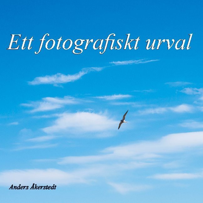 Ett fotografiskt urval : Del 1