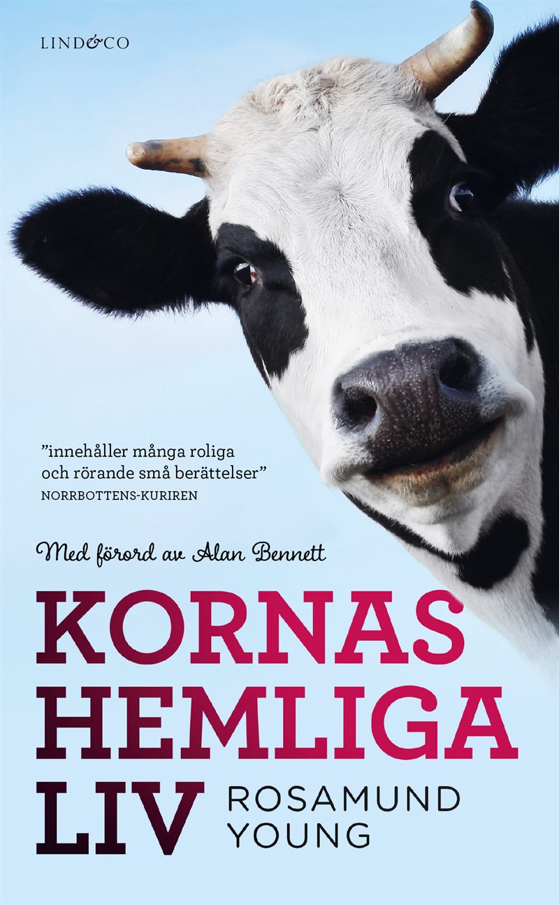 Kornas hemliga liv