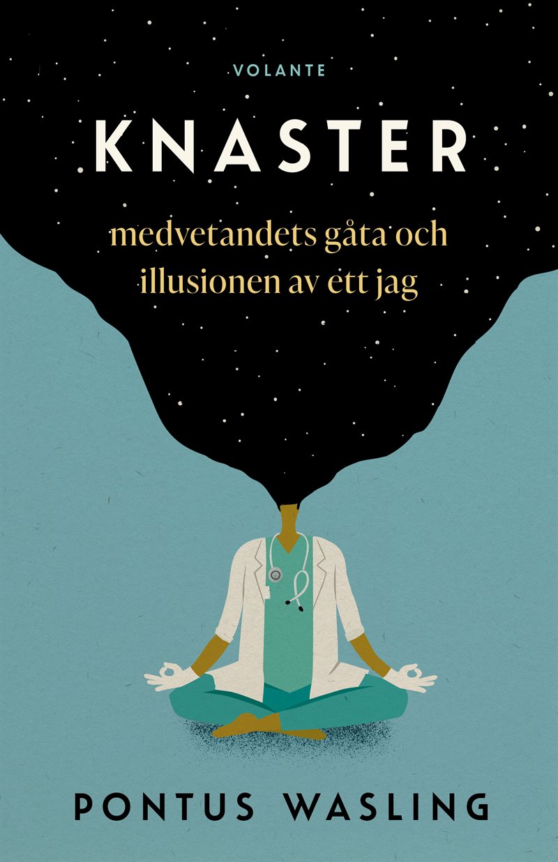 Knaster : medvetandets gåta och illusionen av ett jag