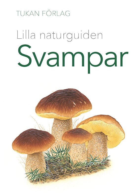 Lilla naturguiden: svampar