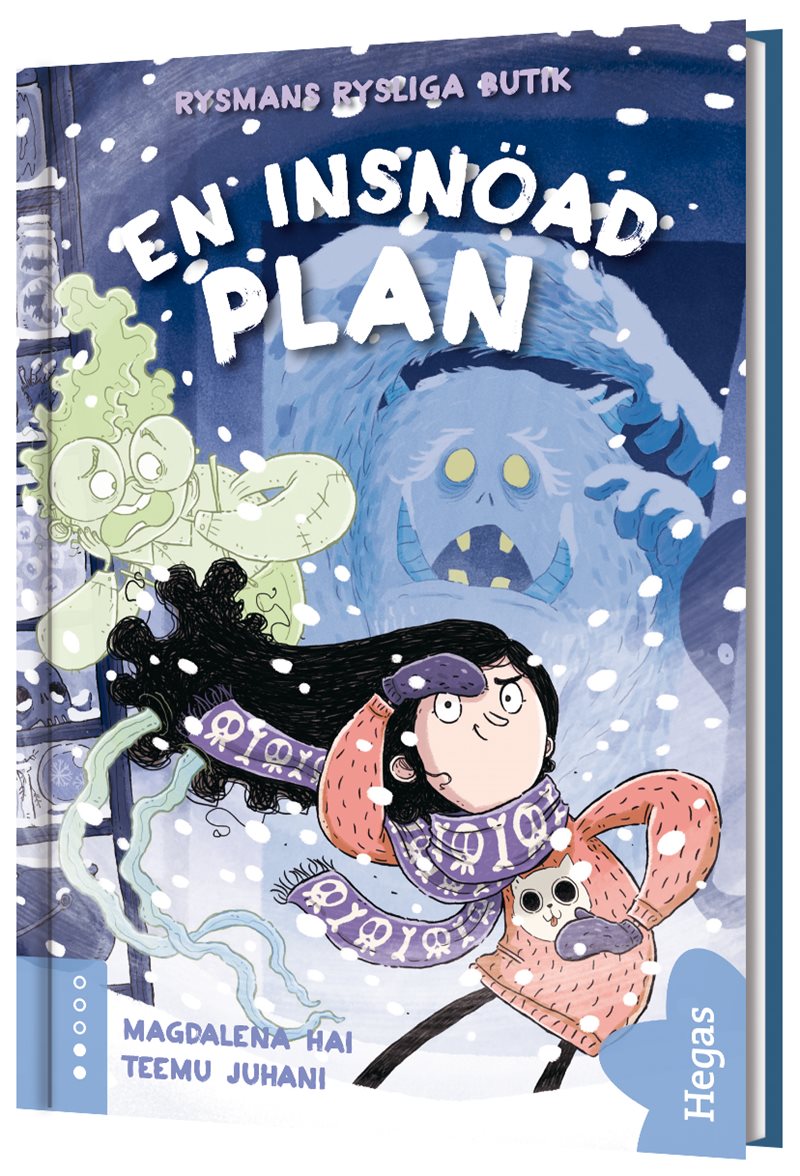 En insnöad plan