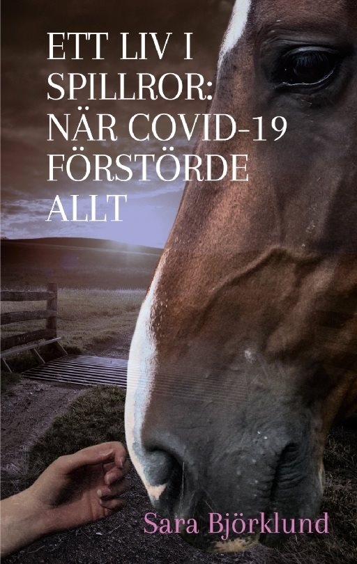 Ett liv i spillror : när covid-19 förstörde allt - en resa genom sorg, smärt