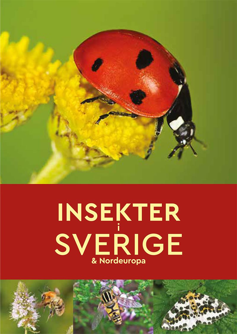 Insekter i Sverige & Nordeuropa