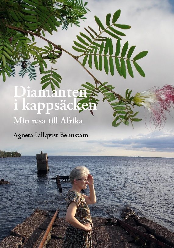 Diamanten i kappsäcken : min resa till Afrika