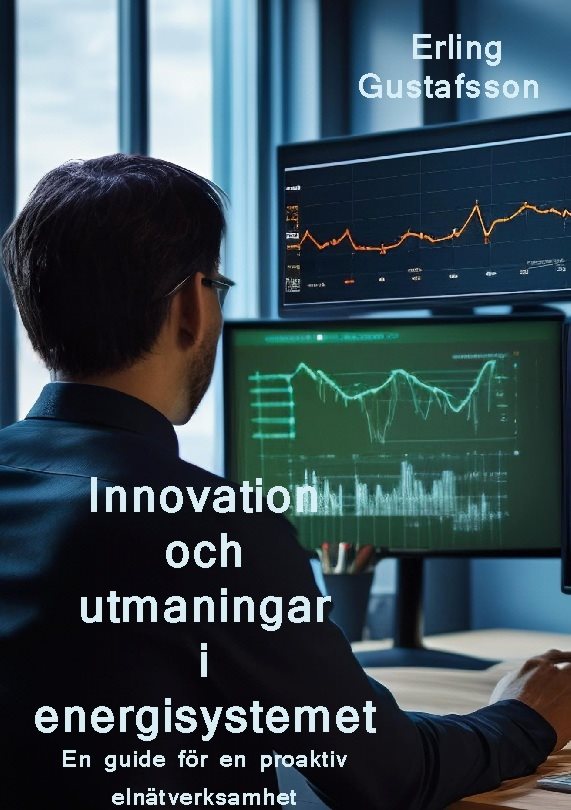 Innovation och utmaningar i ett nytt energisystem : en guide för en proaktiv elnätverksamhet