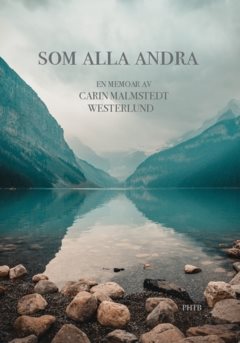 Som alla andra : en memoar