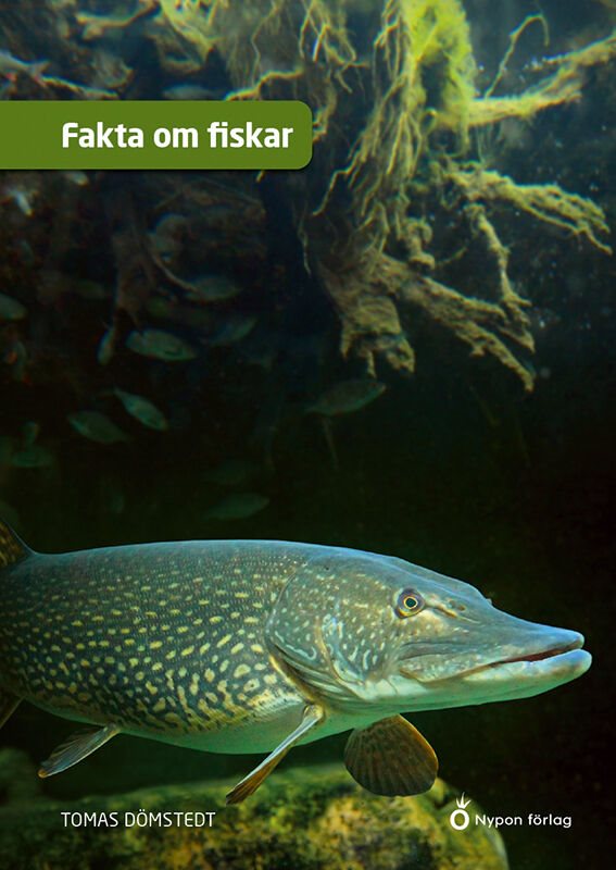 Fakta om fiskar