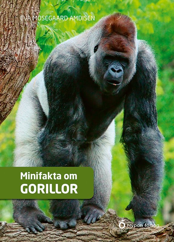 Minifakta om gorillor