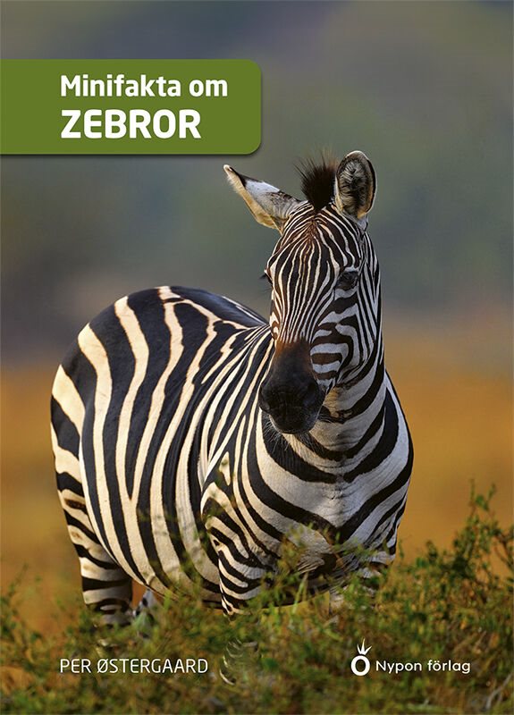 Minifakta om zebror