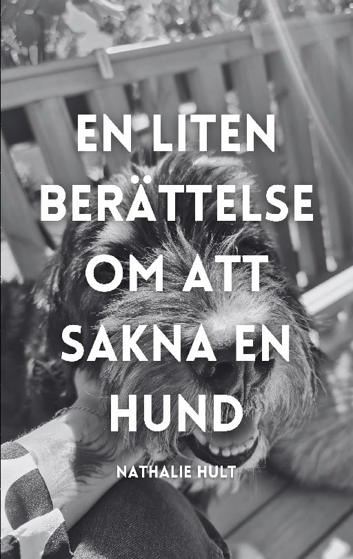 En liten berättelse om att sakna en hund