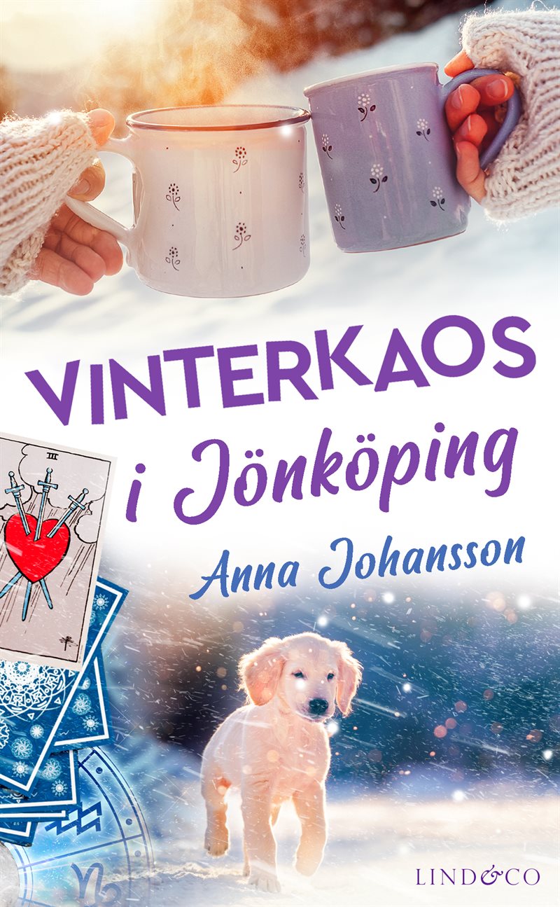 Vinterkaos i Jönköping