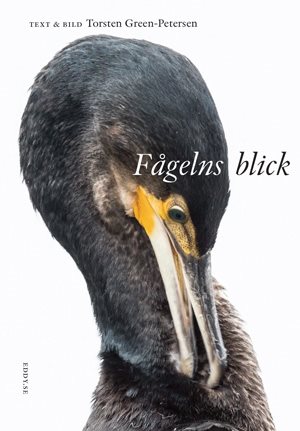 Fågelns blick