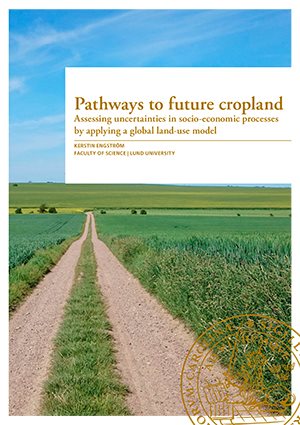 Pathways to future cropland