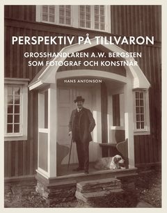 Perspektiv på tillvaron : Grosshandlaren A.W. Bergsten som fotograf och konstnär