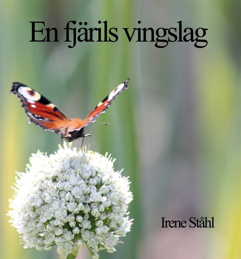 En fjärils vingslag