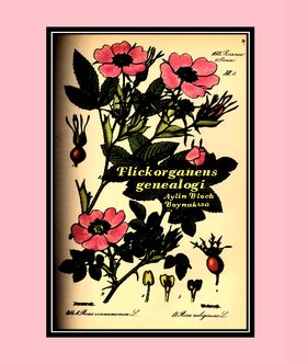 Flickorganens genealogi