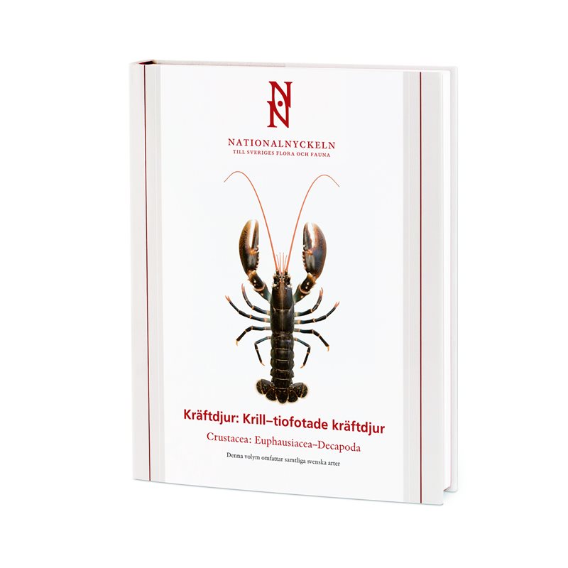 Kräftdjur: Krill-tiofotade kräftdjur. Crustacea: Euphausiacea-Decapoda