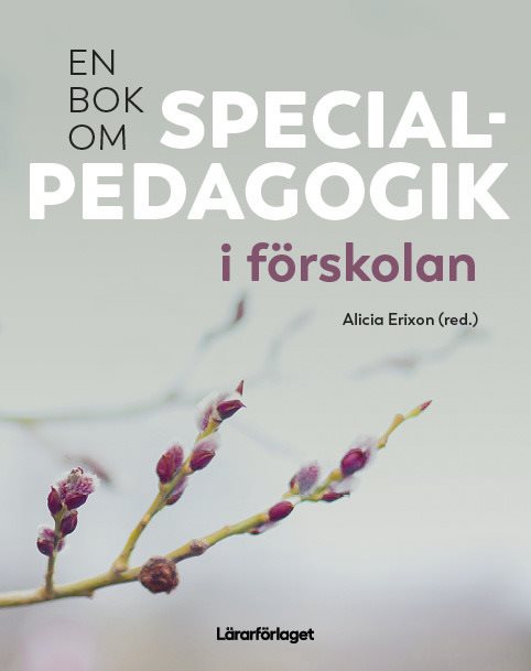 En bok om Specialpedagogik