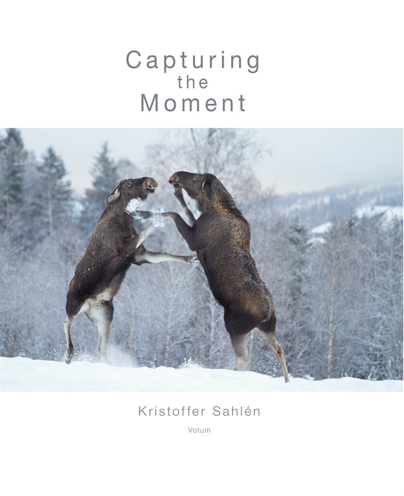 Capturing the Moment