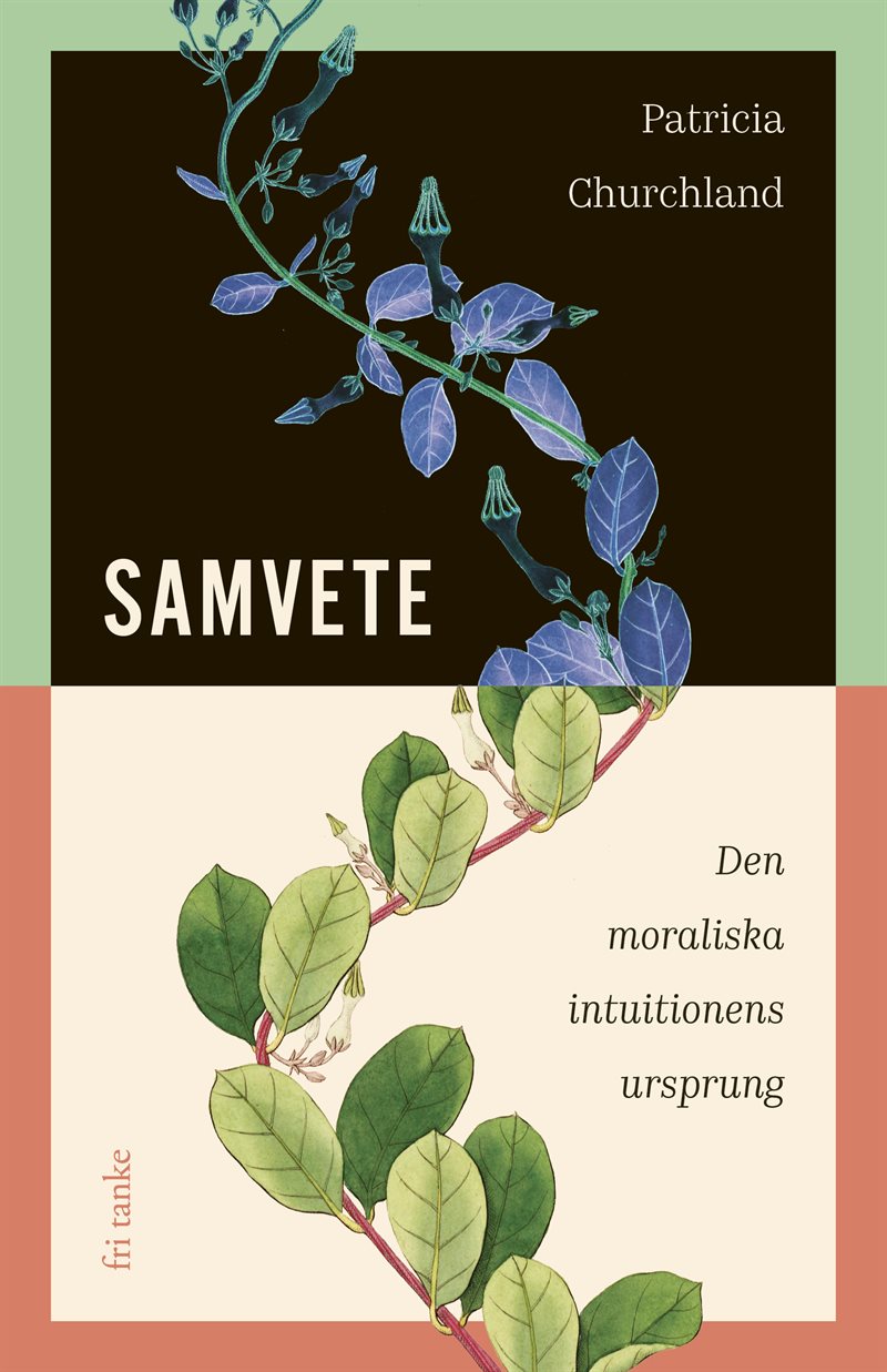 Samvete : Den moraliska intuitionens ursprung