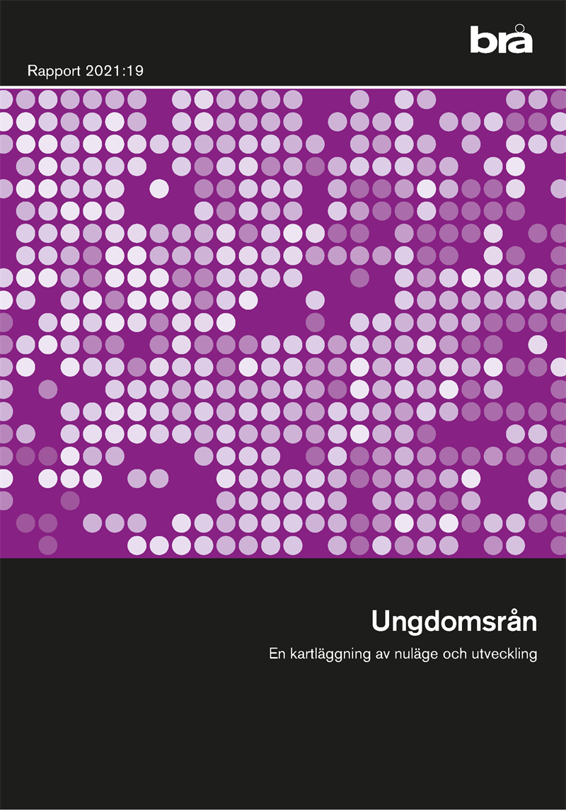 Ungdomsrån : en kartläggning av nuläge och utveckling