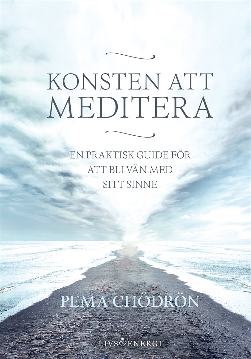 Konsten att meditera : En praktisk guide för att bli vän med sitt sinne