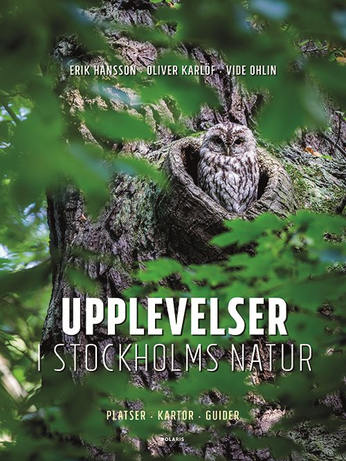 Upplevelser i Stockholms natur