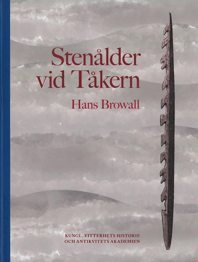 Stenålder vid Tåkern