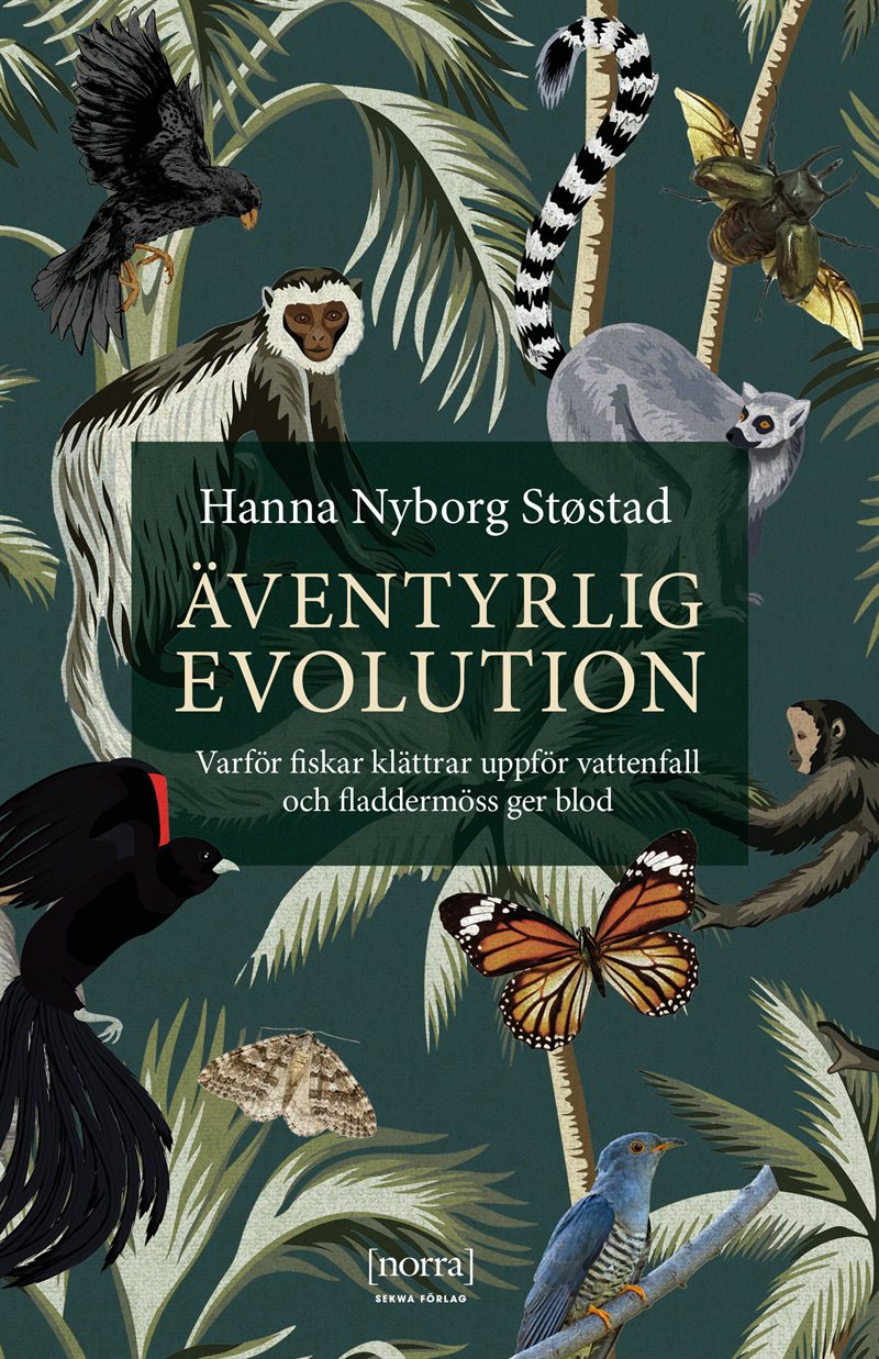 Äventyrlig evolution : varför fiskar klättrar uppför vattenfall och fladdermöss ger blod