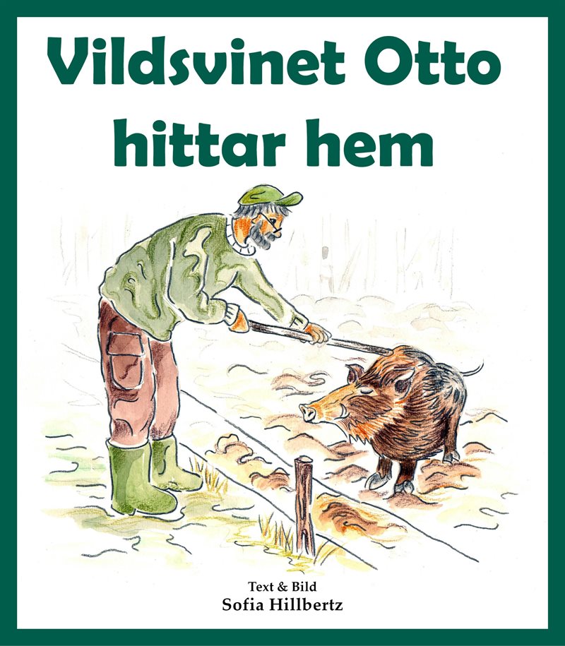 Vildsvinet Otto hittar hem