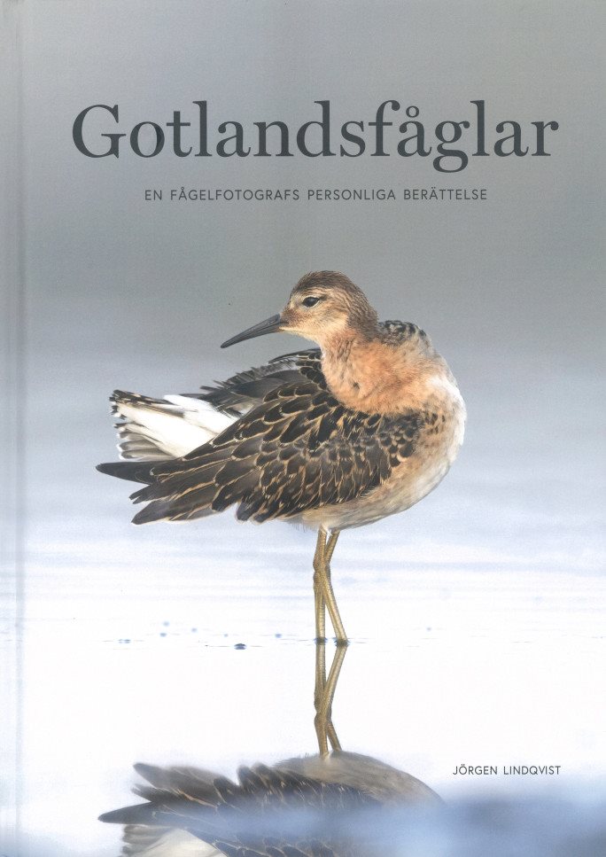 Gotlandsfåglar