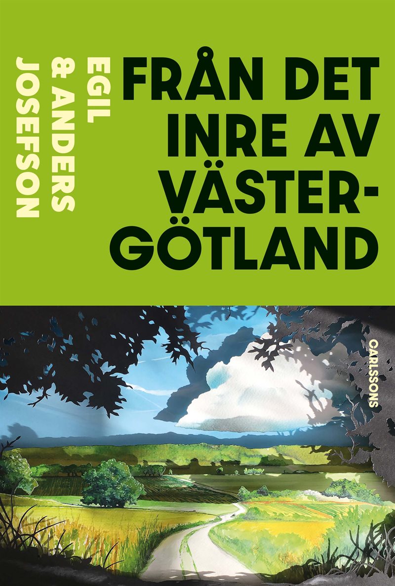 Från det inre av Västergötland : två arkeologers färd genom historien