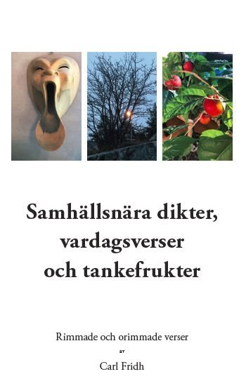 Samhällsnära dikter, vardagsverser och tankefrukter : rimmade och orimmade verser