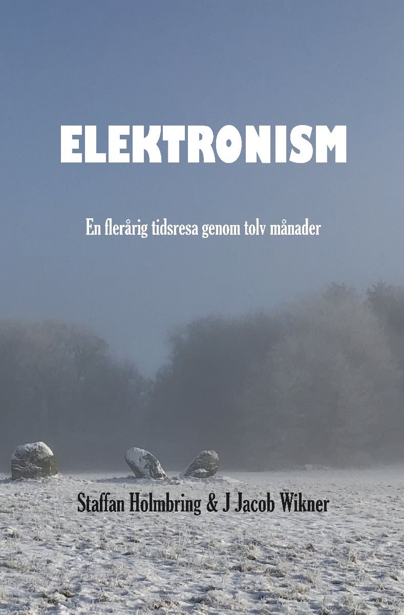 Elektronism : en flerårig resa genom tolv månader