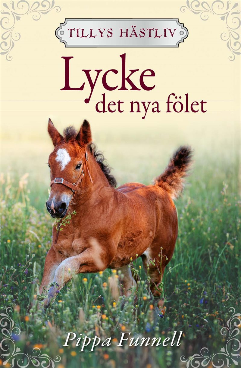 Lycke – det nya fölet