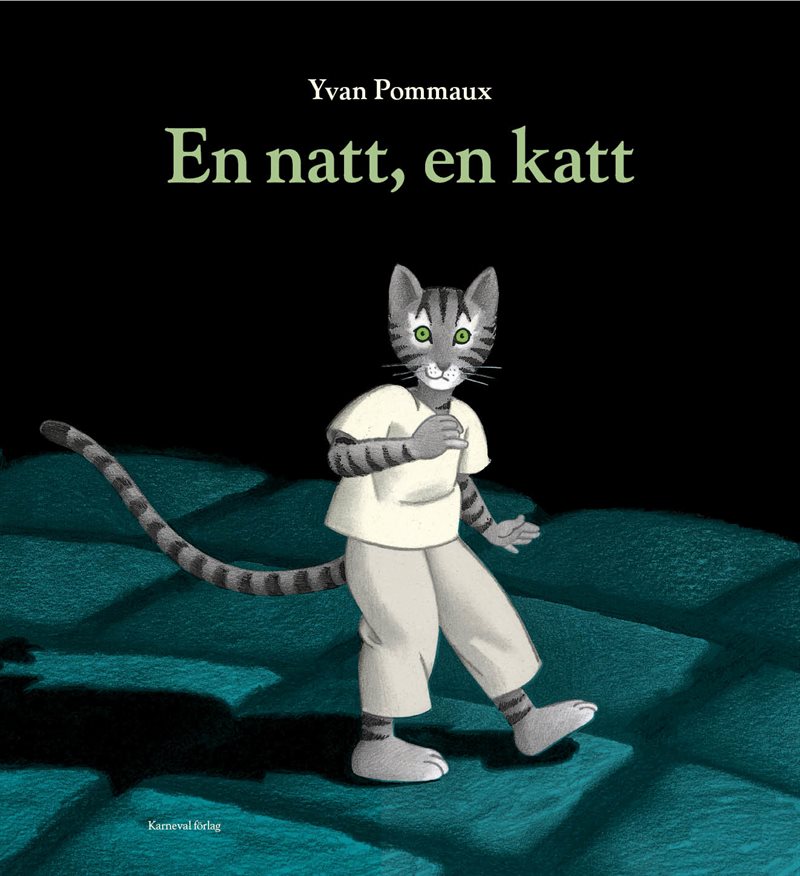 En natt, en katt