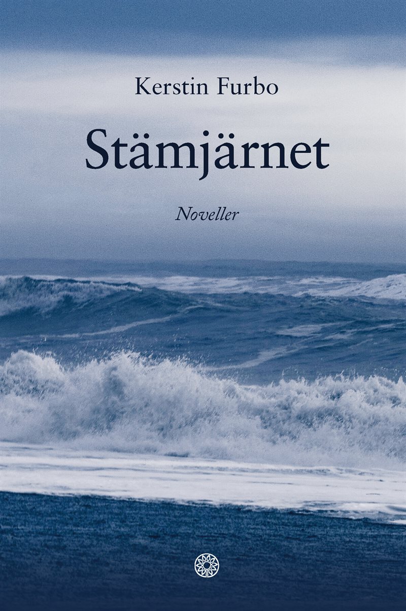 Stämjärnet