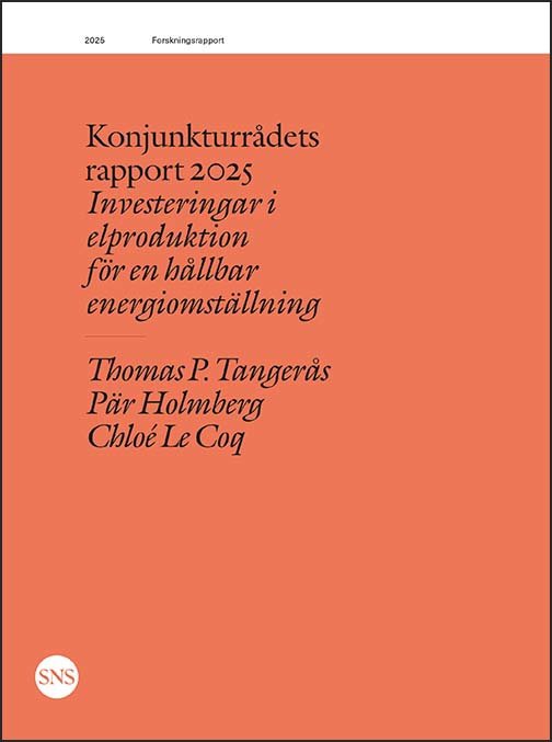 Konjunkturrådets rapport 2025: Investeringar i elproduktion