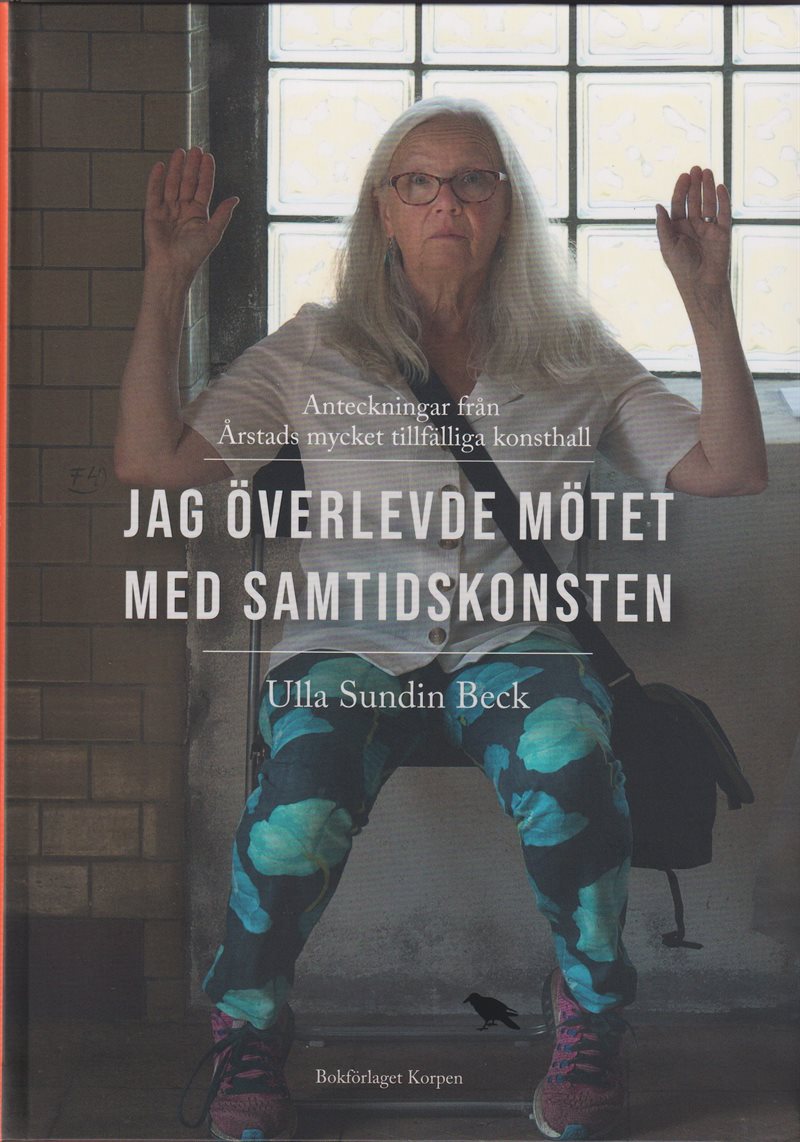 Jag överlevde mötet med samtidskonsten