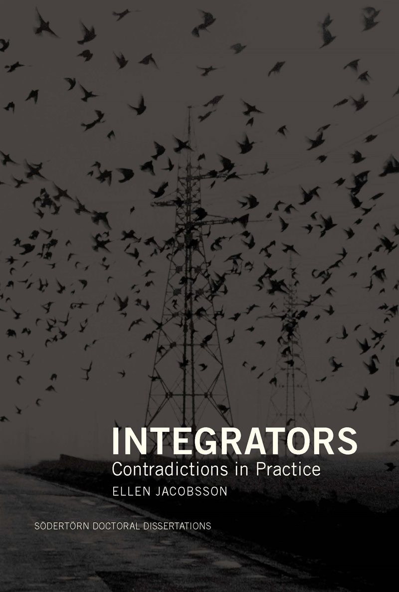 Integrators: Contradictions in Practice