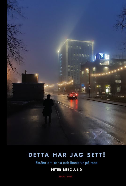 Detta har jag sett! Essäer om konst och litteratur på resa