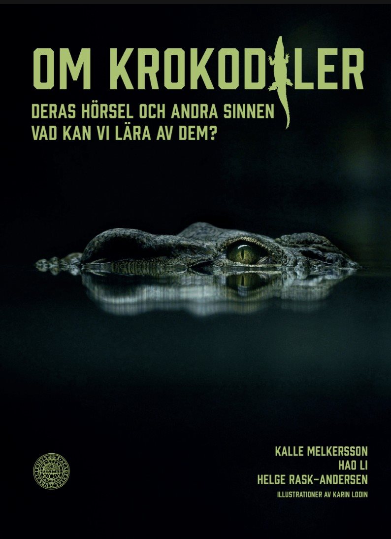 Om krokodiler. Deras hörsel och andra sinnen Vad kan vi lära av dem?