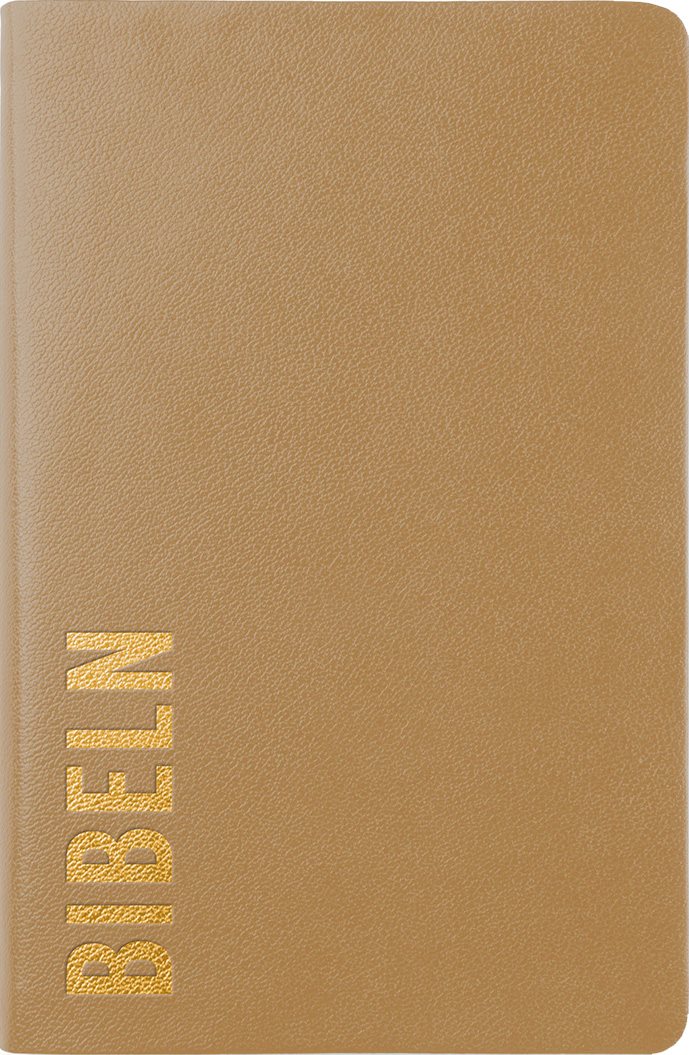 Bibel 2026 Slimline - Bounded leather Brun