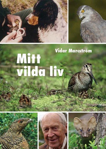 Mitt vilda liv